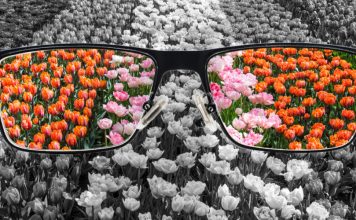 different perspectives in glasses