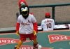 St Louis Cardinals mascot