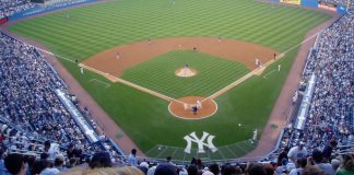 New York Yankees field