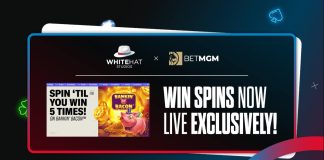 White Hat Studios BetMGM