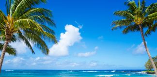 Hawaii Sports Betting HB 2765