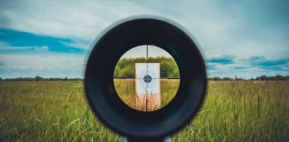 Gun sight focused on target