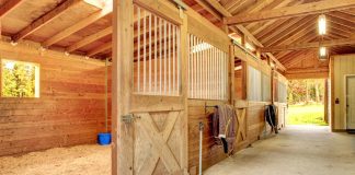 Horse stable