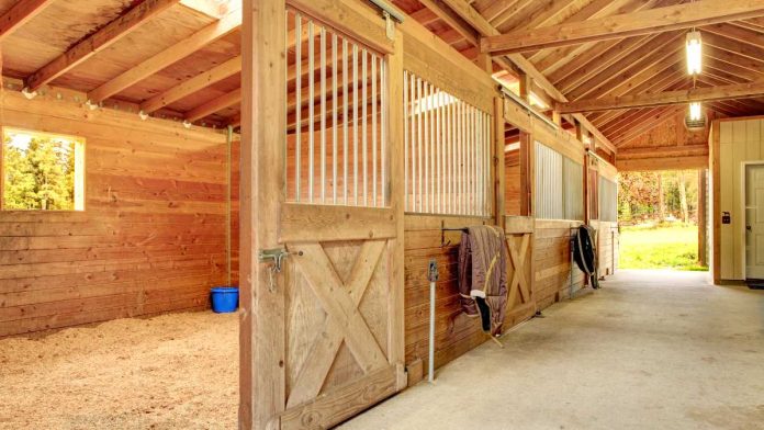 Horse stable