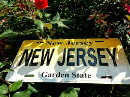New Jersey Sports Betting Revenue March