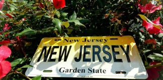 New Jersey Sports Betting Revenue March