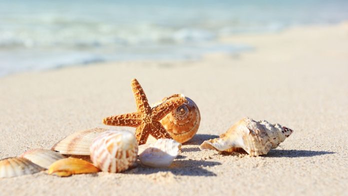 Rhode-Island-Sports-Betting-March Rhode Island Sports Betting March