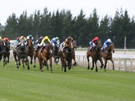 A group of horses race at a track