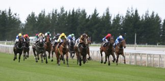 A group of horses race at a track