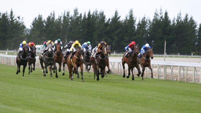 A group of horses race at a track