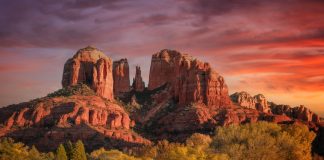 Arizona Sports Betting March