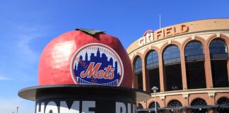 New York Mets Casino Senator Disapproval