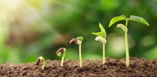 Virginia sports betting grows healthily in April Virginia sports betting grows healthily in April