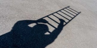 silhouette climbing ladder