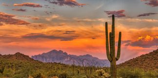Arizona Department Gaming Sports Betting April