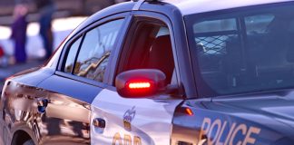 Ontario police open probe into Porter’s alleged gambling scheme Ontario Police Jontay Porter NBA Gambling