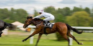 1/ST, Tabcorp and partners unite to create new global racing and betting hub