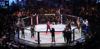 Games Global to provide exclusive UFC branded slots Games Global to provide exclusive UFC branded slots