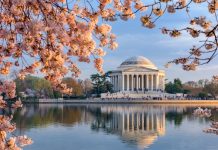 DraftKings now live in Washington D.C. DraftKings Washington D.C. Sports Betting Launch