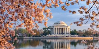 DraftKings Washington D.C. Sports Betting Launch
