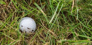 DraftKings hits rough with wayward golf bet email draftkings-golf-bet-email