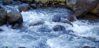 iGaming automation platform Flows secures ISO certification flows-light-and-wonder-michigan
