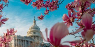 DC regulator approves Caesars Sportsbook as kiosk provider Caesars Sportsbook Retail Betting Kiosks Washington, D.C.