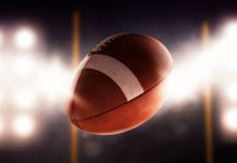 Fanball New Game NFL Erin Andrews Women