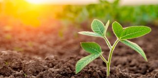 Prosser joins Checkd Group as company’s first Growth Director Checkd Group James Prosser Growth Director