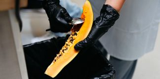 Michigan hopes Papaya Gaming shutdown order will bear fruit michigan-papaya-gaming