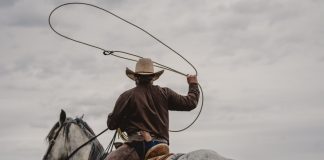 Wyoming Gaming Expansion Spectrum Gaming Group Study