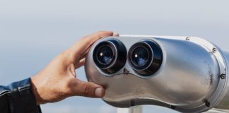 VC firm launches BettorWatch to provide tech solutions for RG Discerning Capital BettorWatch