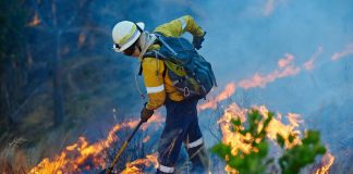 Fanatics & FanDuel make pledge to support wildfire relief in LA FanDuel Flutter Entertainment Fire Relief Efforts Fanatics Sportsbook