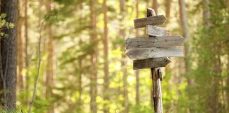 Signs point towards 2026 for Virginia online casino push Arrows pointing in the woods
