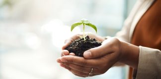 Gambling.com projects revenue growth amid acquisition spree Gambling.com Group Full Year 2024 Quarter Q4 2024