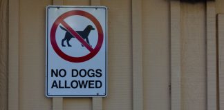 Class action accuses Underdog of operating illegal sportsbook Underdog Class Action Suit