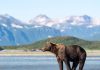 Alaska Gambling Bill Sports Betting