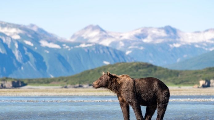 Alaska Gambling Bill Sports Betting