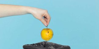 RICO lawsuit against Google, Apple and High 5 Casino dismissed Apple being tossed, like the lawsuit alleging it was aiding and abetting illegal gambling