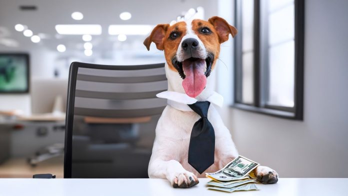 underdog-new-capital-funding-round