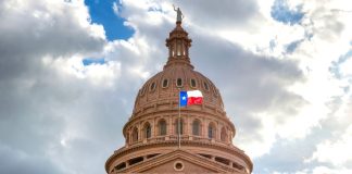 texas-senator-sports-betting-companion