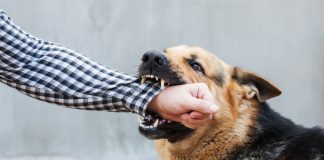New Jersey regulator sinks teeth into Kalshi and Robinhood new-jersey-regulator-kalshi-robinhood