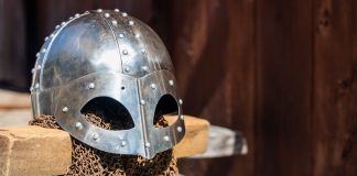 internet-vikings-plannatech-arizona