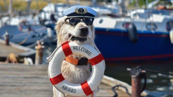 A dog holding a 'Welcome Aboard' message, evoking how sweepstakes casinos may greet new customers