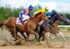 European horses racing as 1/ST acquires DRF Bets from Affinity Interactive.
