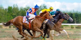 European horses racing as 1/ST acquires DRF Bets from Affinity Interactive.