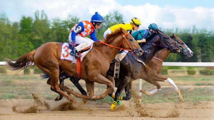 European horses racing as 1/ST acquires DRF Bets from Affinity Interactive.