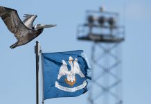 A pelican flying over the state flag of Louisiana, which is about to ban online sweepstakes casinos