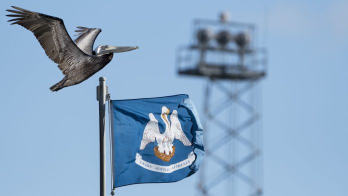A pelican flying over the state flag of Louisiana, which is about to ban online sweepstakes casinos