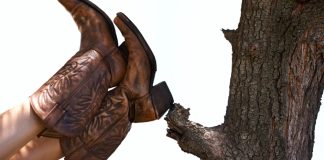 Wyoming lawmakers to crafting legislation to up gambling tax rates Cowboy raises her boots as Wyoming lawmakers consider bills to increase gambling tax rates in the state.